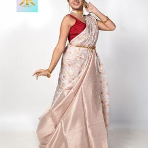 Soft Organza Mina Silk Saree