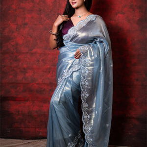 Raina Tissue Fabric With Hand Work